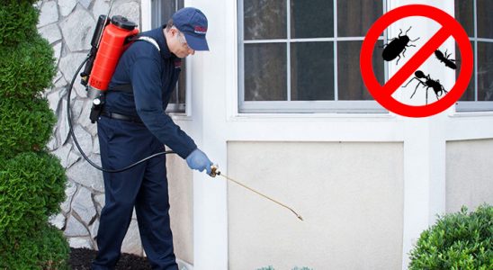 Beytüşşebap Fare İlaçlama böcek ilaçlama ve haşere kontrolü — ilaclama-tr.com